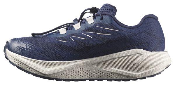 Chaussures Running Salomon Aero Blaze 4 GRVL GTX Bleu/Blanc Homme