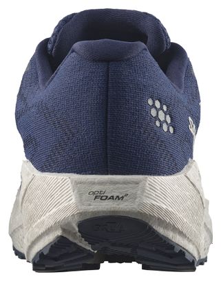 Chaussures Running Salomon Aero Blaze 4 GRVL GTX Bleu/Blanc Homme