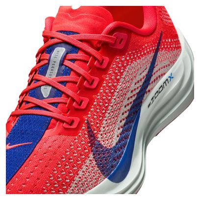Nike Pegasus Plus Women's Running Shoes in Red/Gray