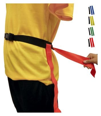 Ceinture Flag