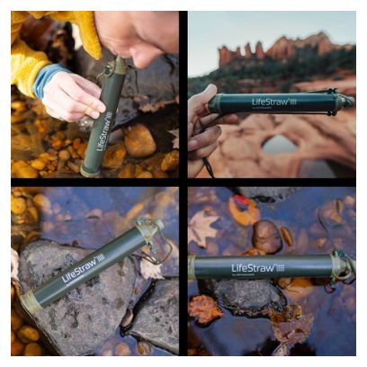 LifeStraw Go2  filtre d'eau bouteille avec paille de filtre intégrée gris