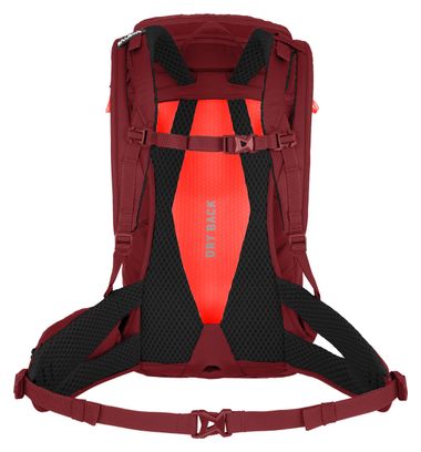 Women's hiking bag Salewa Alp Trainer 20L Bordeaux | Alltricks.com