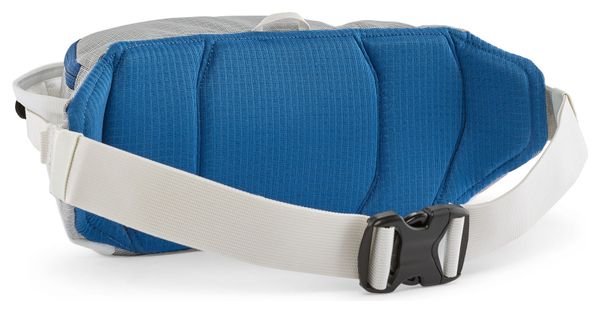 Ceinture Banane Patagonia Black Hole 5L Gris