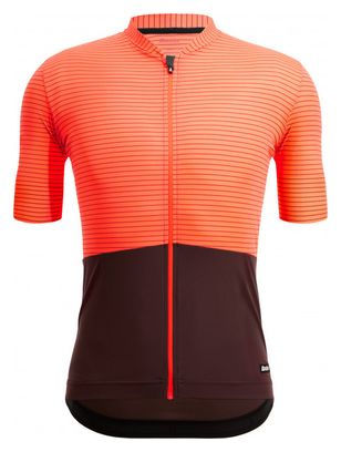 Santini Colore Riga Maglia a maniche corte arancione/marrone