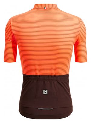 Santini Colore Riga Maglia a maniche corte arancione/marrone