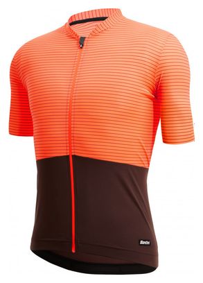 Santini Colore Riga Maglia a maniche corte arancione/marrone