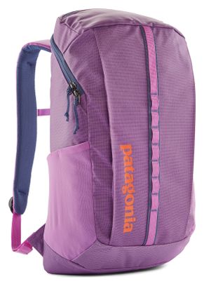 cabin gold patagonia black hole Patagonia Black Hole Duffel Bag 40L - Cabin Gold
