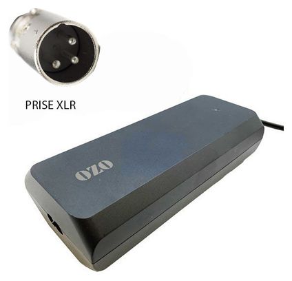 Chargeur 36V 4A pour batterie Lithium de vélo électrique prise XLR