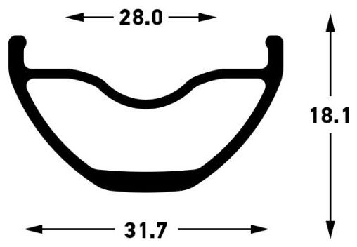 Stan's Arch S2 29'' | Boost 15x110 mm | 6-Loch-Vorderrad