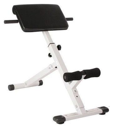 Appareil de musculation dos et abdominaux pliable 120 kg 0701161