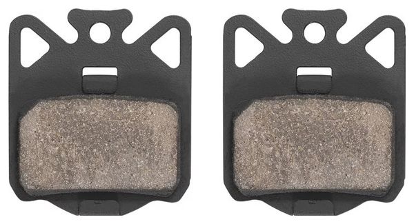 Paar Campagnolo DB-310 Organische Pads voor 11-12 en 13V