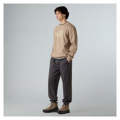 Sweat The North Face Drew Peak Beige Homme