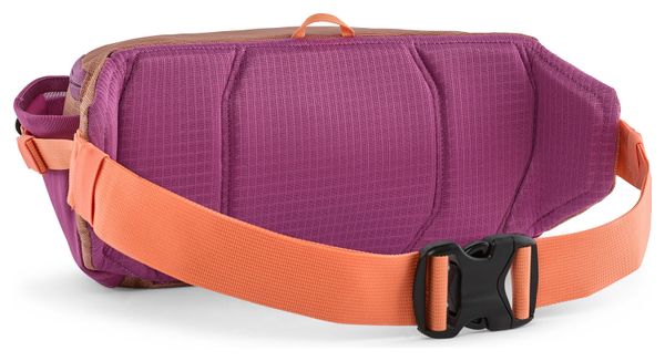 Ceinture Banane Patagonia Black Hole 5L Orange