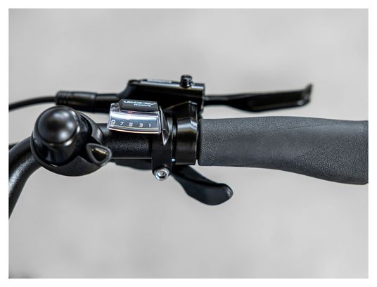 Vélo de Ville Électrique Trek Verve+ 2 Lowstep Shimano Acera/Altus 9V 400 Wh Bleu Alpine