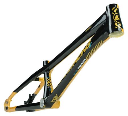 Cadre Stay Strong For Life V5.1 Cruiser Or/Noir