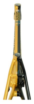 Cadre Stay Strong For Life V5.1 Cruiser Or/Noir
