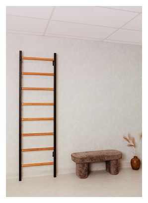 Espalier de gymnastique BenchK 200B