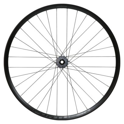 Hope Fortus 30W Pro 5 29'' | Boost 15x110 mm | 6 Agujeros | Plata