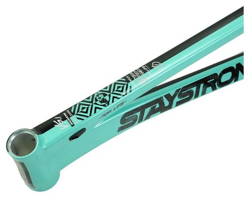 Cadre Stay Strong For Life V5.1 Cruiser Tiffany/Noir