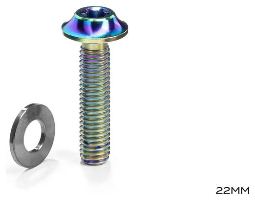 Vis d'étrier de Frein Flat Mount Titane M5 Torx 25 avec Rondelle absoluteBLACK Rainbow