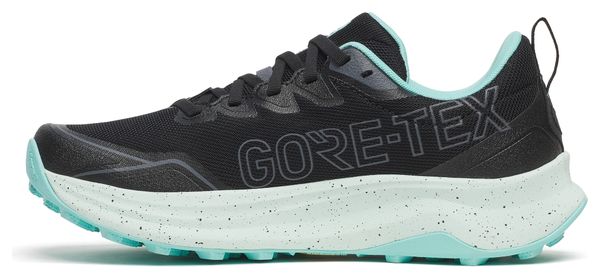 Chaussures Trail Saucony Peregrine 16 GTX Noir/Bleu Femme