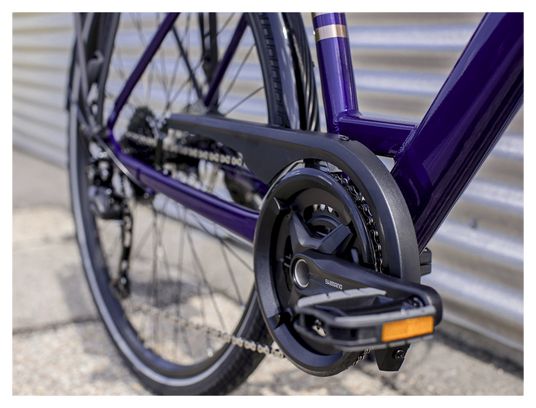 Trek Verve Lowstep Equipped Shimano Acera 9V Purple Abyss 2021