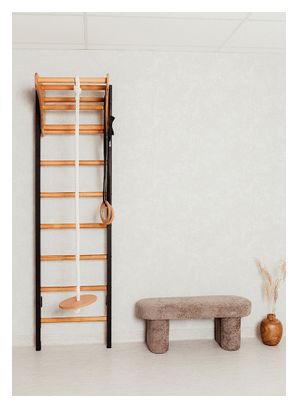 Espalier de gymnastique BenchK 211B + A076