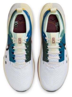 Chaussures Trail Nike Zegama Trail 2 Blanc/Multicolore Homme