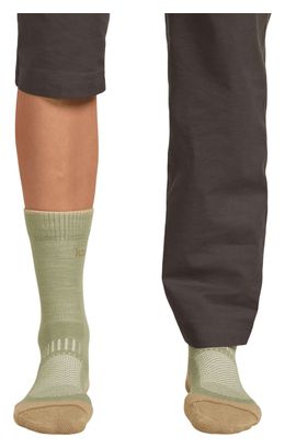 Icebreaker Merino Hike+ Crew Calcetines Mujer Verde