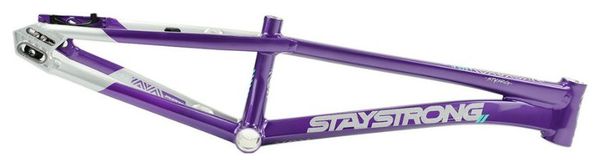 Cadre Stay Strong For Life V5.1 Expert XL Violet/Silver