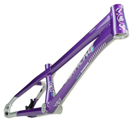 Cadre Stay Strong For Life V5.1 Expert XL Violet/Silver