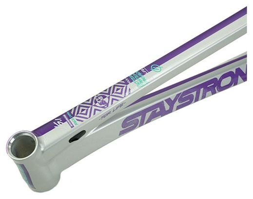 Cadre Stay Strong For Life V5.1 Expert XL Violet/Silver
