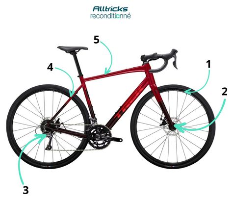 Trek Domane AL 2 Shimano Claris 8V 700mm Rot Gen 4