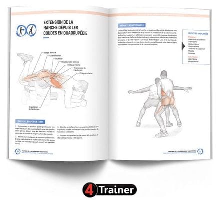 ANATOMIE ET ENTRAÎNEMENT FONCTIONNEL - 4Trainer Editions