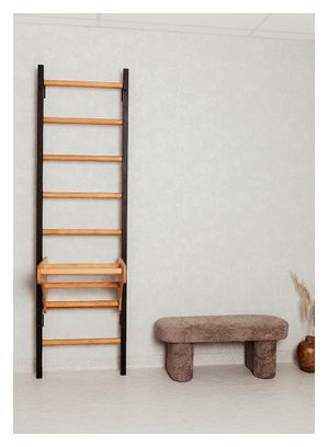 Espalier de gymnastique BenchK 211B