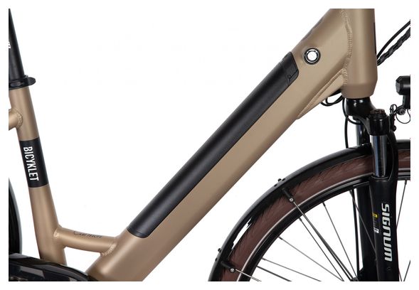 Bicyklet Carmen Electric City Bike Shimano Tourney/Altus 7S 504 Wh 700 mm Braun Tan