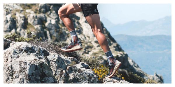 Compressport Ultra Trail Socks Grey/Red Trail Capsule 2023