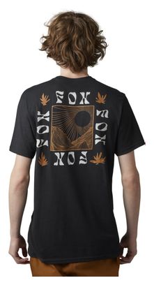 Hinkley Fox Premium T-Shirt Schwarz