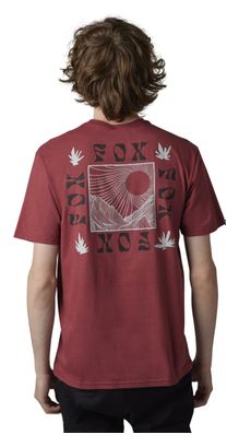 T-Shirt Hinkley Fox Premium Scar Rouge