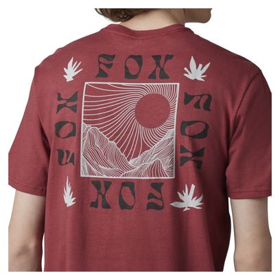Camiseta <p> <strong>Hinkley</strong> </p>Fox <p> <strong>Premium</strong> </p>Scar Rojo