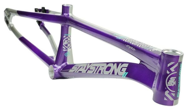 Cadre Stay Strong For Life V5.1 Pro 3XL Violet/Silver