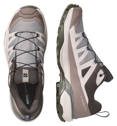 Scarpe da trekking Salomon X Ultra 360 GTX Grigio/Marrone da uomo