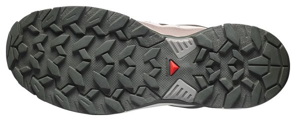 Scarpe da trekking Salomon X Ultra 360 GTX Grigio/Marrone da uomo