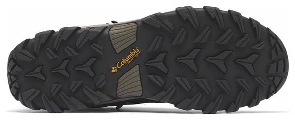 Columbia Newton Ridge Plus II Wanderschuhe Dunkelbraun Herren