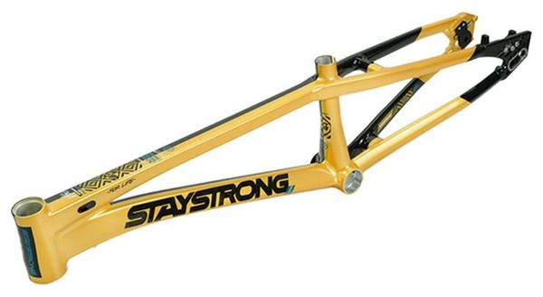 Cadre Stay Strong For Life V5.1 Pro 2XL Or/Noir