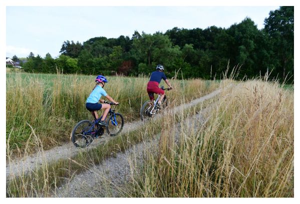 Zefal Bike Taxi Sleepsysteem