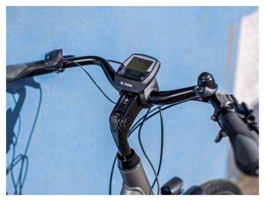 Vélo de Ville Électrique Trek Verve+ 2 Lowstep Shimano Altus 9V 500 Wh 700 mm Gris 2023