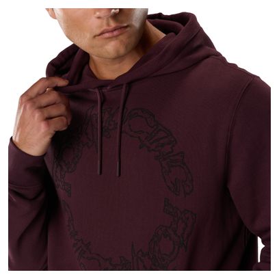 Felpa con cappuccio Fox Slowburn marrone scuro da uomo