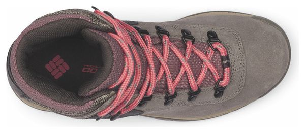 Chaussures de Randonnée Columbia Newton Ridge Plus Amped Gris/Rose Femme