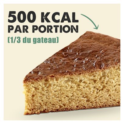 OVERSTIMS Sports Cake GATOSPORT Brownie - Noce pecan 400g